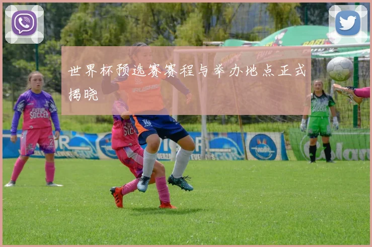世界杯预选赛赛程与举办地点正式揭晓