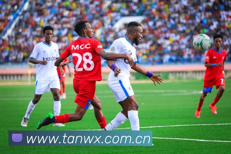 多媒体互动体验